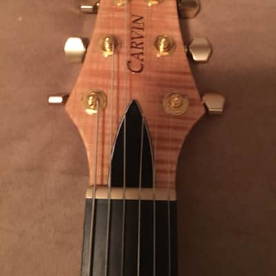 Carvin SH550 image 2