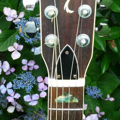 Hillbilly by Suzuki W-40 Brazilian Rosewood 1970's Natural BARGAIN image 6