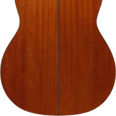 Ibanez GA3007CE 7-String Thinline Acoustic-Electric Classical Guitar, Solid Spruce Top, Natural image 3