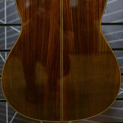Cordoba Fusion 12 Rosewood Electro Classical Nylon Guitar image 2