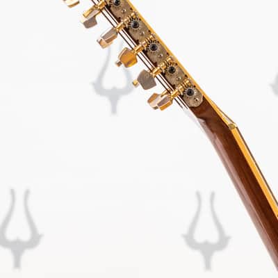 Daion Year Series '78 Heritage / 12 String With Rare Factory Transducer image 19