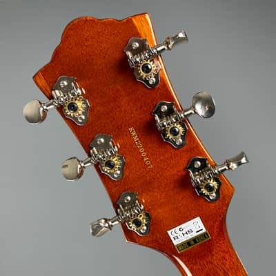 Guild Bluesbird 2022 Iced Tea Burst image 9