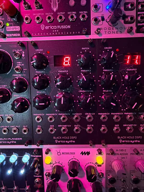 Erica Synths Black Hole DSP 2 2014 - Present - Black