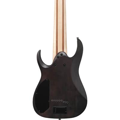 Ibanez RG9PB RG Axe Design Lab 9-String Electric Guitar Regular Transparent Gray Flat image 2