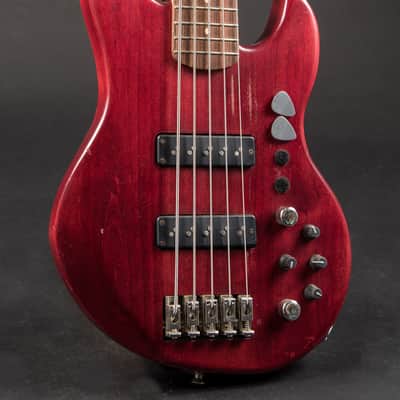 Alien Audio PP 5-String w/HSC image 3