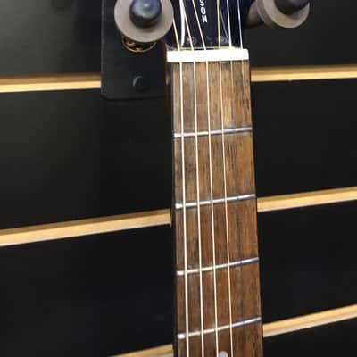 Epiphone PR300 image 3
