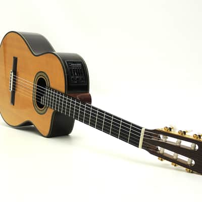 Takamine TH90 Hirade image 2