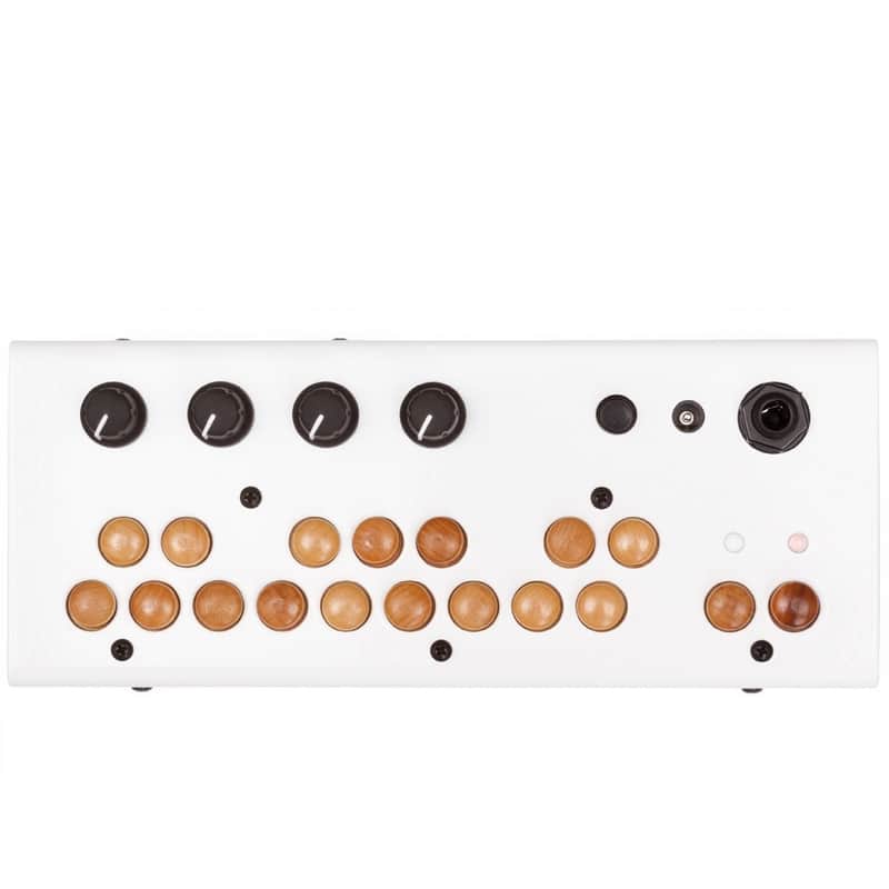 Critter & Guitari Bolsa Bass image 1