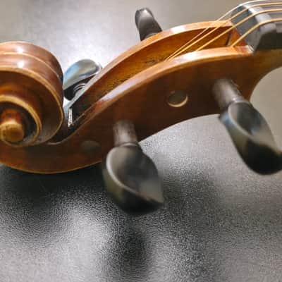Early 20th century central european violin – labelled Giuseppe Pedrazzini – 350 mm LOB image 13