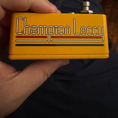 Champion Leccy The Dunsh image 5