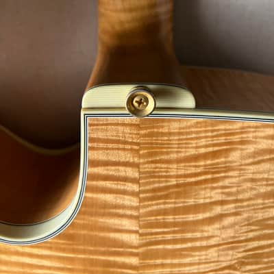 Collings 18" Archtop AT-18 Deluxe Calton Case AT18 image 13