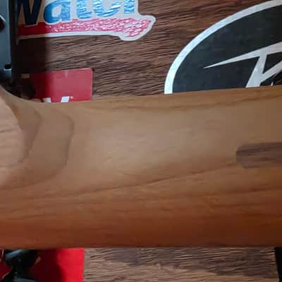 Fender Telecaster Roasted Maple Official Bild 8