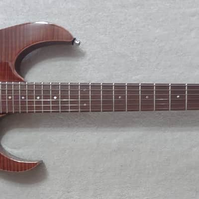 Ibanez Prestige RG3120F-DAM Electric Guitar - Dark Amber image 2