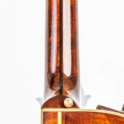 Daion The Year Series '81 Caribou - Brown (BR) - Electric Acoustic Six String image 8