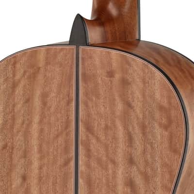 Manuel Rodriguez Tesoro de Camerún Limited Edition Solid Cedar Top & Cedar Neck 6-String Classical Acoustic Guitar w/Hard Case & Footrest image 11