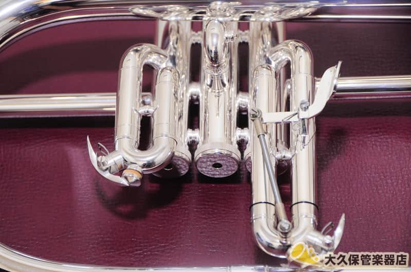 Brasspire Unicorn BPFG-850SS Flugelhorn (New) | Reverb