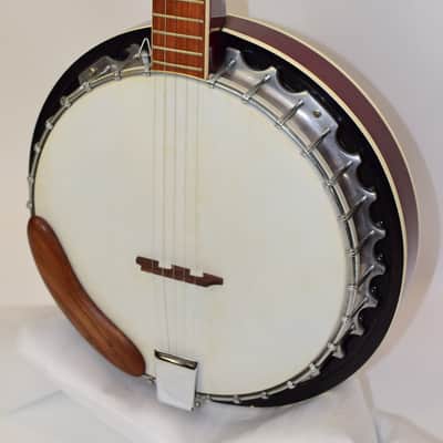 Vintage 70's Lark LBJ-25 Closed Back 5-String Banjo image 3