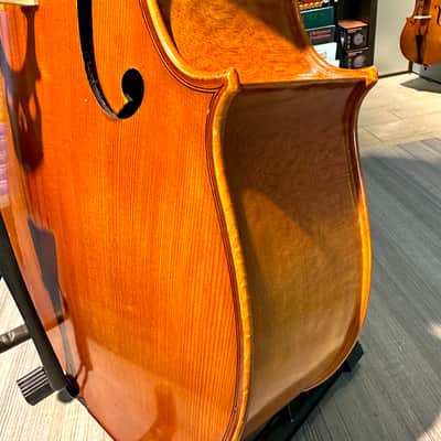 Student Cello: 1/2 Cello - Segue Concertino Plus 2016 - Oil varnish image 13