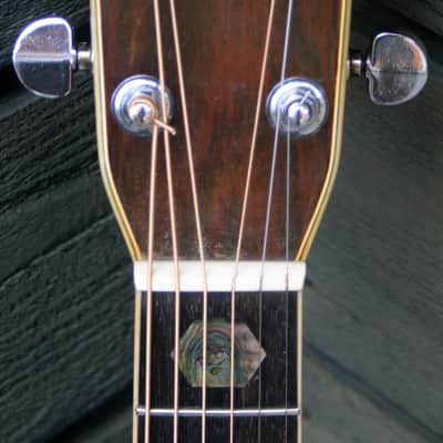 1975 Yairi YW-600 Dreadnought Guitar New Jacaranda Natural+Vintage Hard Case Bargain! image 6