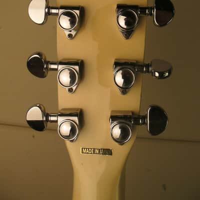 MEINL's "Chinchilla" Japan,vintage Folk-Westerngitarre. image 3