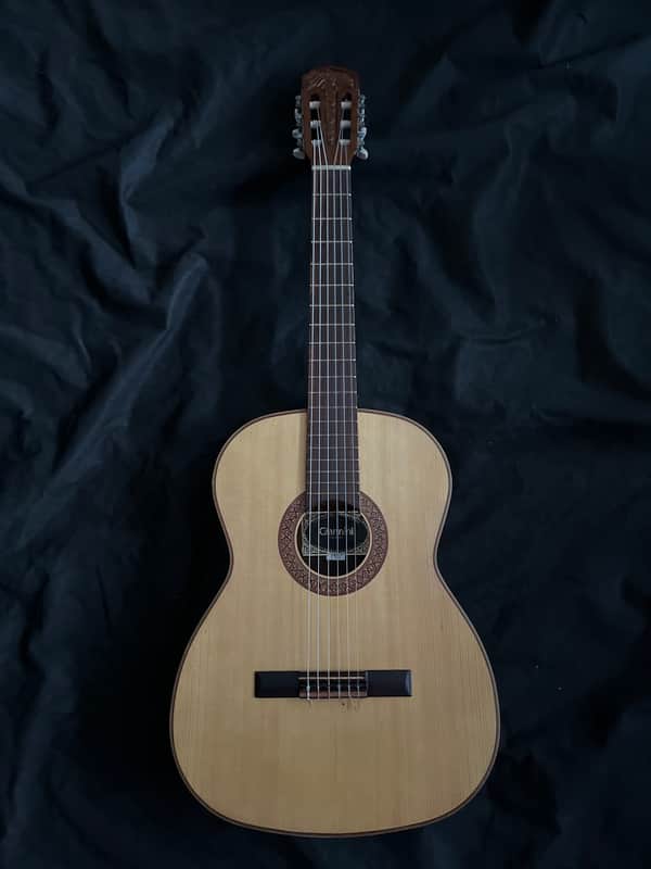 Giannini AWN31