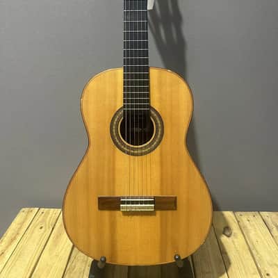 Acoustic Gianni Series Classica Savio 1994 image 6