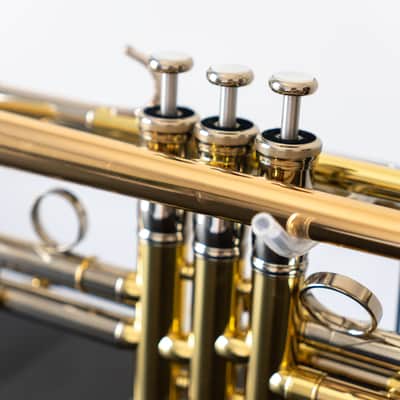 Yamaha YTR-8335IIRG Xeno Bb Trumpet with Reverse Leadpipe and Gold Brass Bell (SN 5768xx) image 18