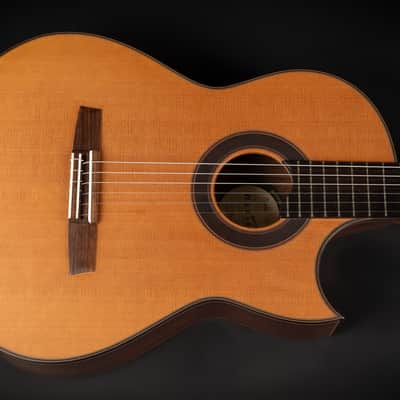 2018 Hanika Fusion PC - Natural | Made in Germany Professional Line Masterbuilt Classical Guitar Cedar Rosewood 50mm Nut Cutaway | CoA OHSC image 4