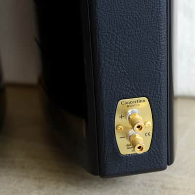 Immagine Sonus Faber Concertino Domus - 10