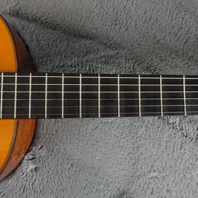 Morris MC-111 Japan Classical Guitar | Reverb
