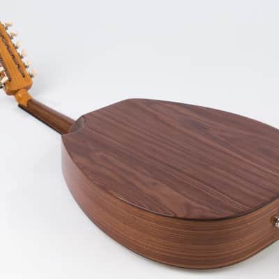 Electric Oud Cutaway Semi Acoustic Oud image 3