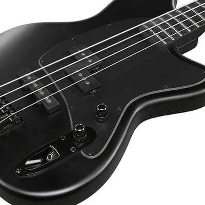 Ibanez TMB425B BKF Talman 5 String Electric Bass - Black Flat image 7