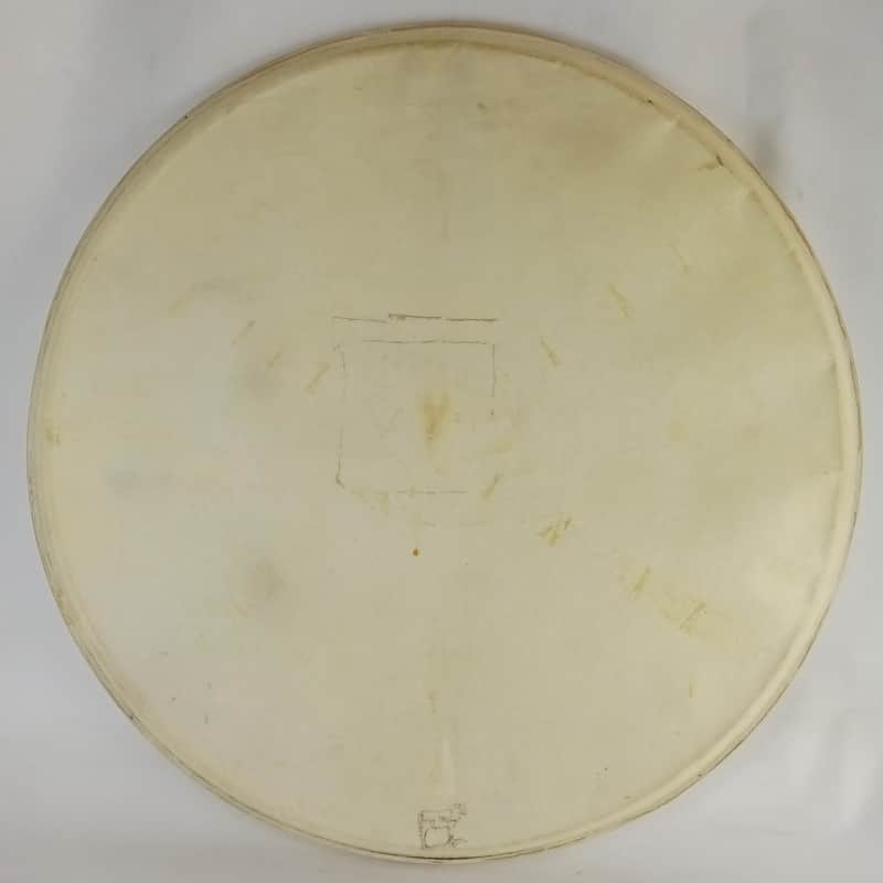 Ludwig 22" Calf Skin Whitecalf Batter/Resonant Bass Drum Head Vintage 40s USA image 1