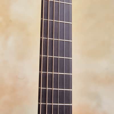 Linda Manzer Fanfret Baritone Acoustic image 6