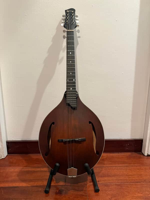 Eastman MDO305