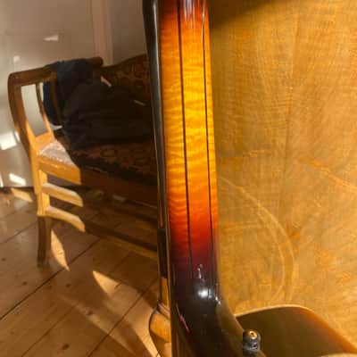 Eastman 905 2023 - Sunburst image 2