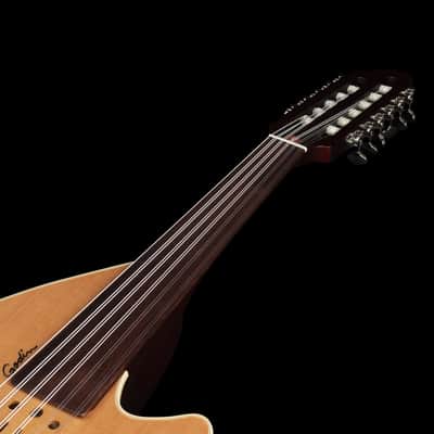 Godin Multi Oud Encore Nylon Natural SG with bag NEW Model # 037414 MultiOud image 7