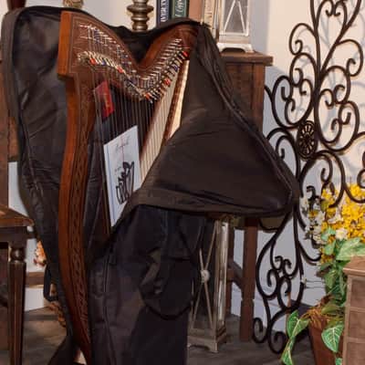 Roosebeck HMNA5CSP Chelby Levers 29-String Minstrel Harp 5 Panel w/Padestal, Tuning Tool & String Set image 9