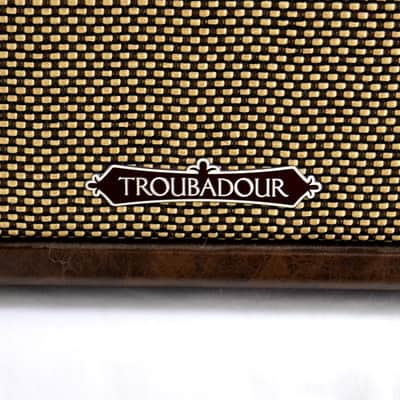 Ibanez Troubador TA20 20w Acoustic Guitar Combo Amp image 4