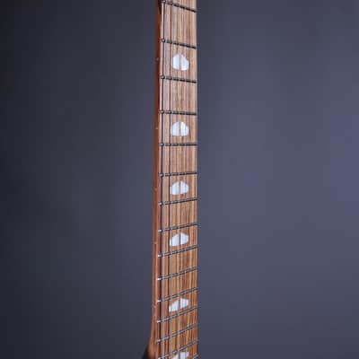 Powers Electric A-Type 2025 - Cosmo Orange Cam Tail image 5