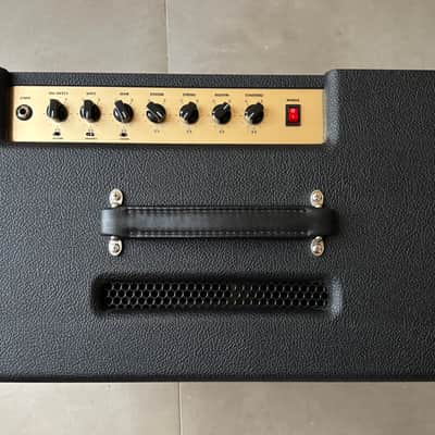 Friedman Runt 20 2-Channel 20-Watt 1x12" Guitar Combo image 3