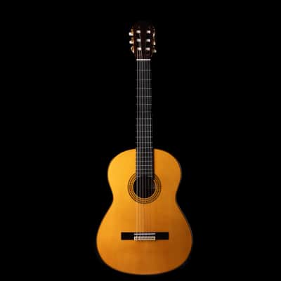 Pre Owned Yamaha GC22S Classical Acoustic Guitar With Soft Shell Case image 3