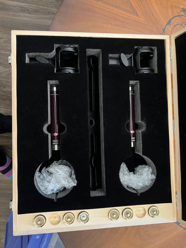 Vanguard Audio Labs V1s 2018 - Burgundy image 1