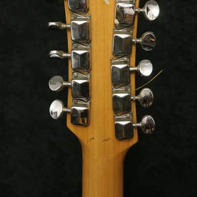 Royal Artist Bruno 1960's Sunburst 12 string image 6