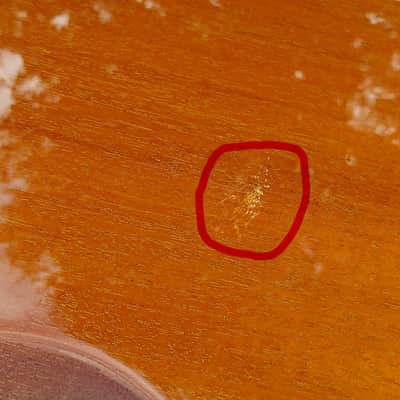 Gibson Chet Atkins SST 1993 image 13