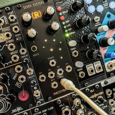 Recovery Effects Seven Sisters Eurorack Module image 4