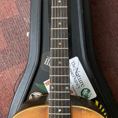 Epiphone FT-45n Cortez 1965 image 5