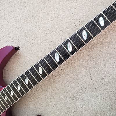 Caparison Dellinger Prominence image 11