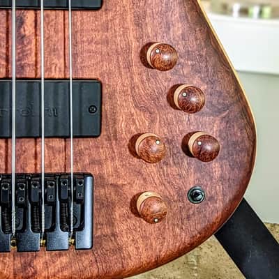 MTD Bass 535-24: Red Narra "10" top, Birdseye Maple Fingerboard, Ash Body & Neck! image 2