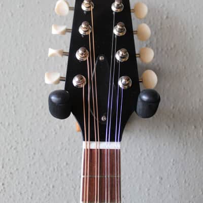 Brand New Kentucky KM-140 A-Style Mandolin with Gig Bag image 2